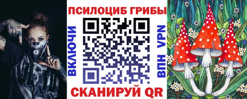 Псилоцибиновые грибы GOLDEN TEACHER хочу наркоту Краснообск